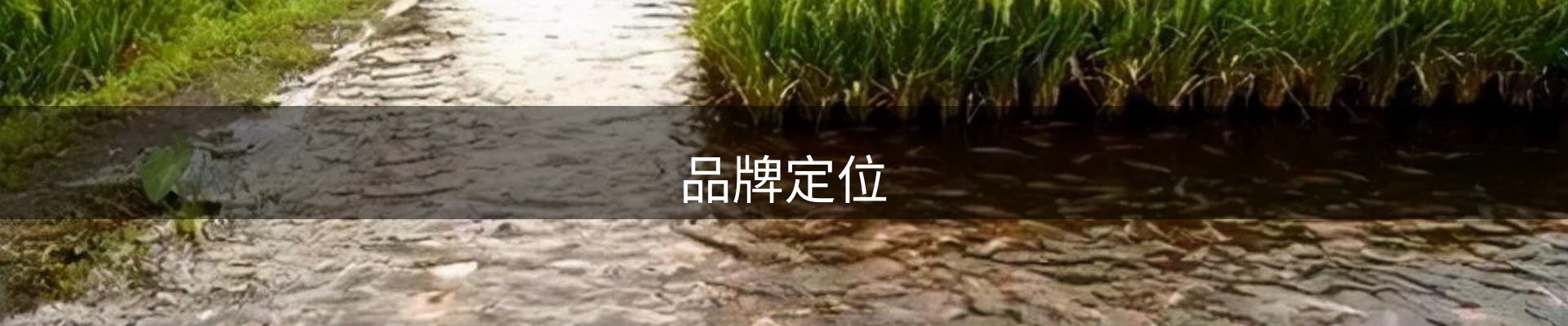 品牌定位